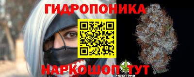 прущие крисы Кулебаки