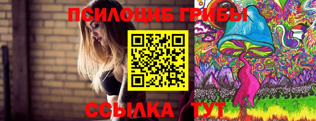 Жигулёвск  Псилоцибиновые грибы мицелий  Галлюциногенные грибы мицелий  Вход с VPN 
